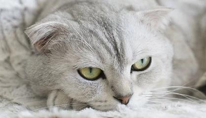 456电影网——你的私人影视世界