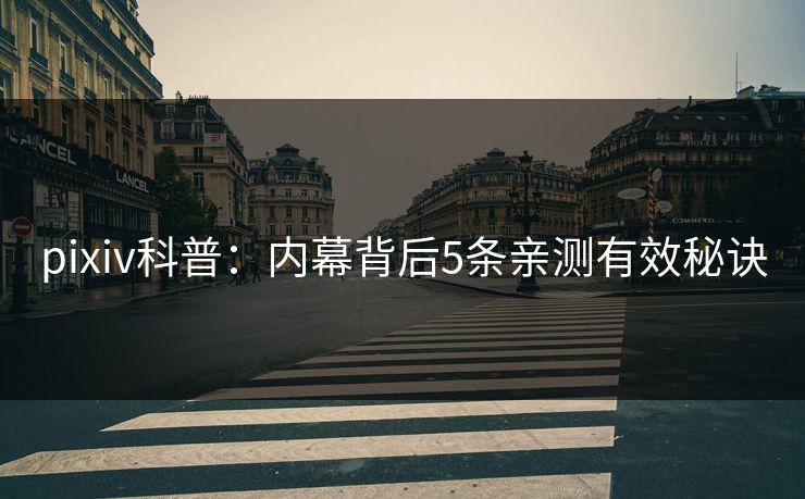 pixiv科普:内幕背后5条亲测有效秘诀