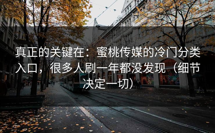 真正的关键在：蜜桃传媒的冷门分类入口，很多人刷一年都没发现（细节决定一切）