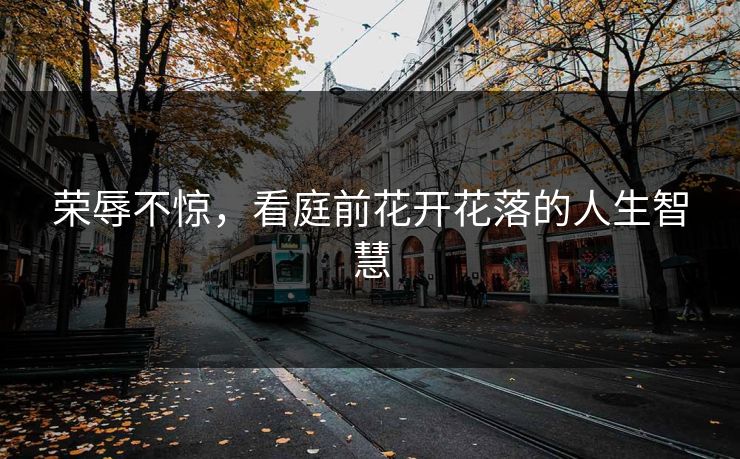 荣辱不惊，看庭前花开花落的人生智慧